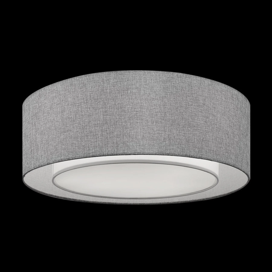 Потолочный светильник Maytoni MOD613CL-04GR - фото 7